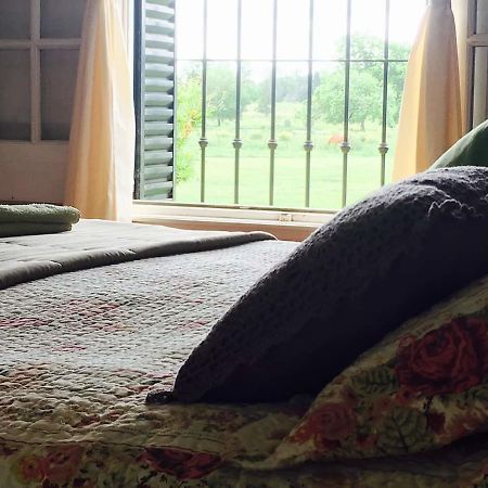 The Polo House Bed & Breakfast Pilar  Luaran gambar